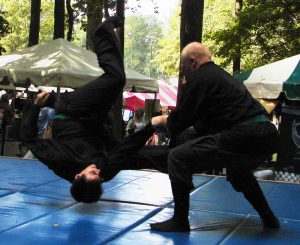 DSC04333a_croppedc-2